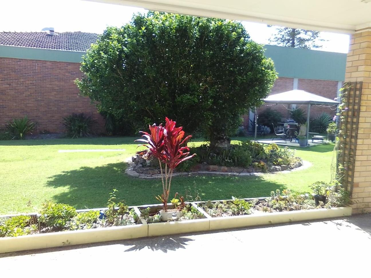 Forster And Wallis Lake Motel ภายนอก รูปภาพ